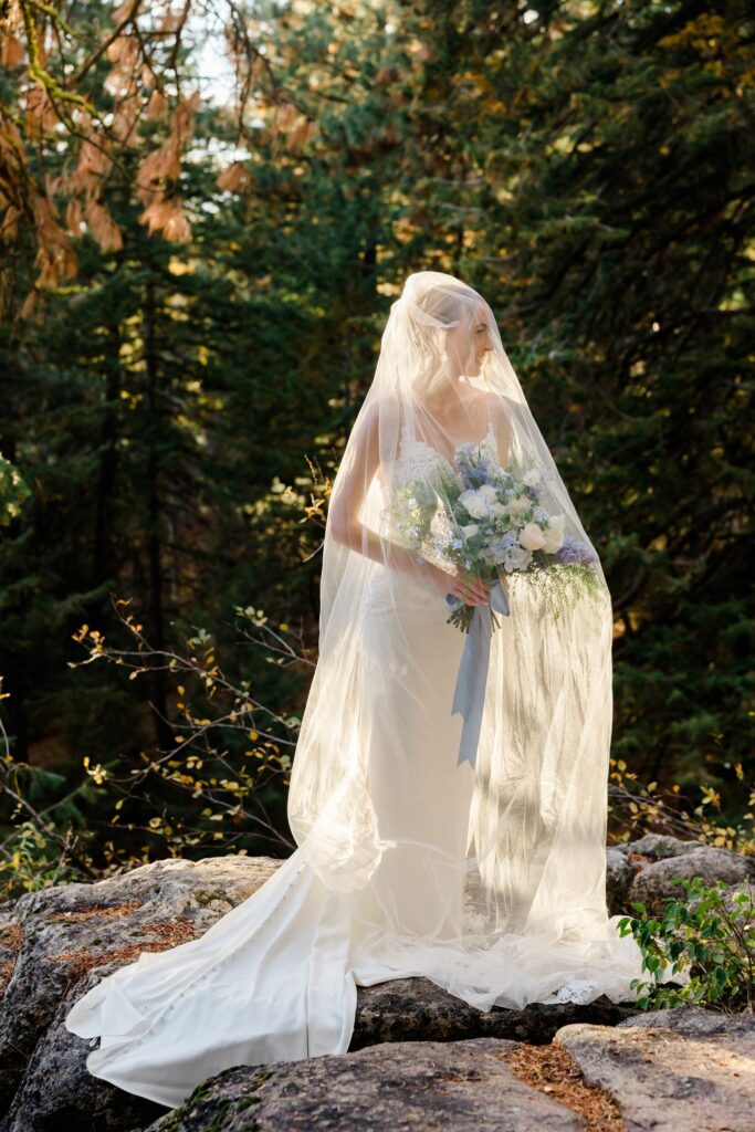 Boise Forest Bridal Sessiom